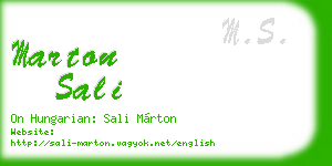 marton sali business card
